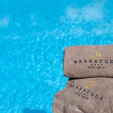 Barracuda マリーナ・ディ・カンポ