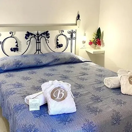 Hotel Hotel Resort Barracuda